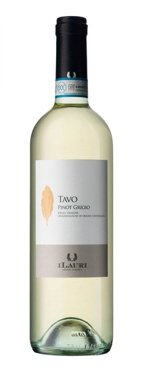 Talamonti Tavo Pinot Grigio 2021 0,75l 12%