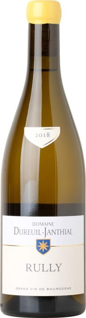 Domaine Vincent Dureuil-Janthial Rully Blanc 2018 0,75l 13,5%
